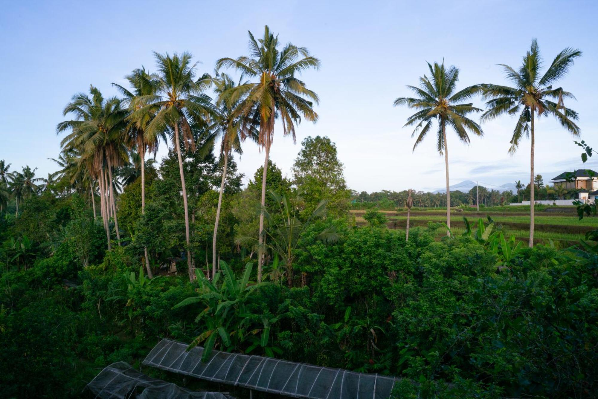 Karang Lila Bhuana 3* Ubud (Bali)